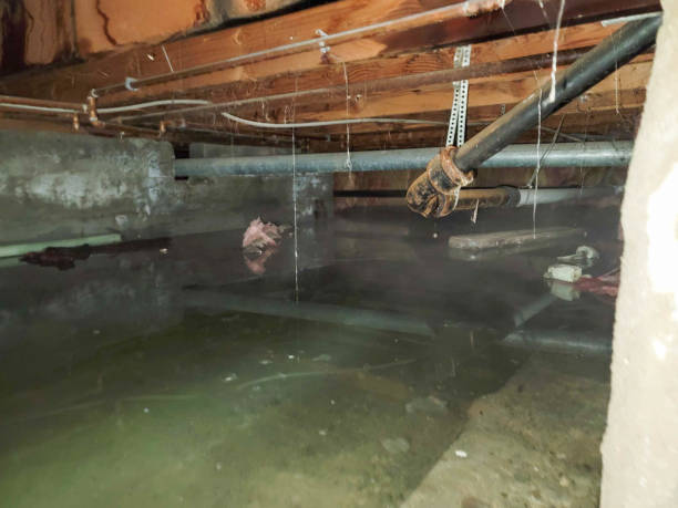 Carpet water damage restoration in CT
