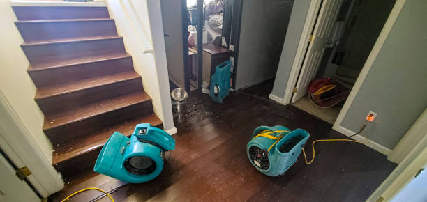 Best Carpet water damage restoration  in New London, CT