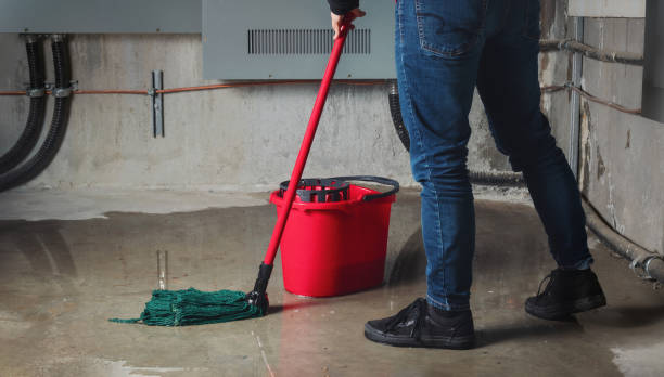 Best Water damage cleanup near me  in New London, CT