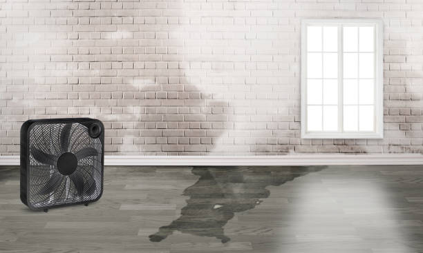 Best Residential water damage restoration  in New London, CT