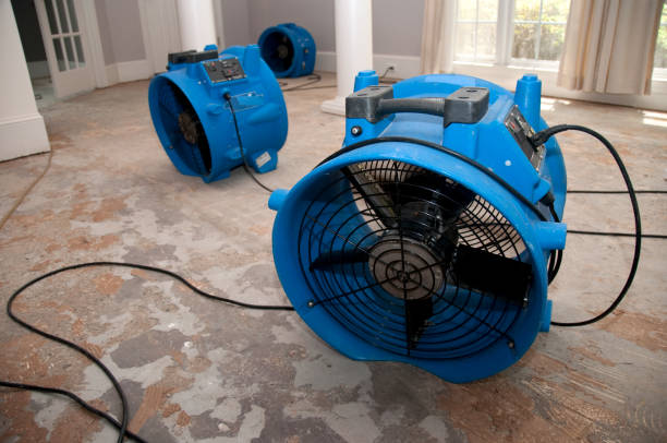 Best Water damage contractors near me  in New London, CT