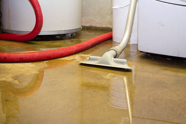 Best Ceiling water damage repair  in New London, CT