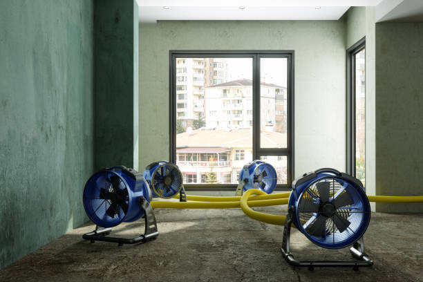 Best Water damage mitigation services  in New London, CT