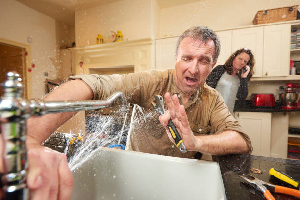 Best Professional water damage repair  in New London, CT